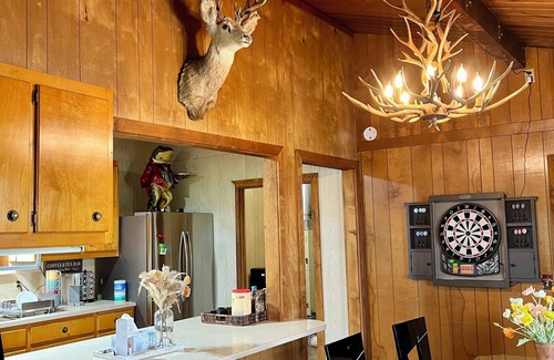 Douglas County Cabin | Lakefront Cabin Retreat with Breakfast and Pet-Friendly Perks