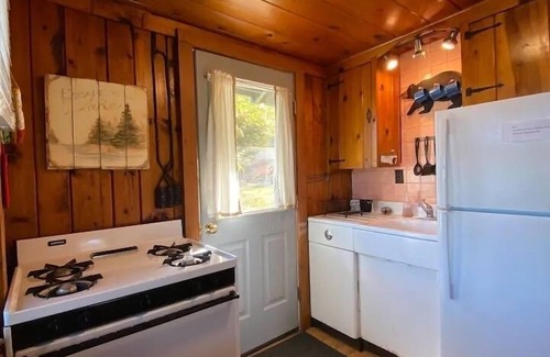 Alden Cabin | Serene Lakefront Cabin at Northaire Resort - Pet Friendly