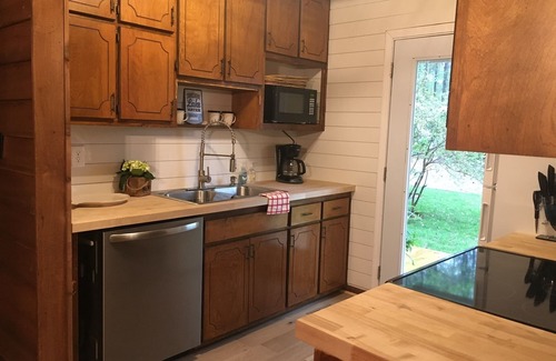 Five Points House | Scenic Lakefront Cabin with Private Dock and Fire Pit