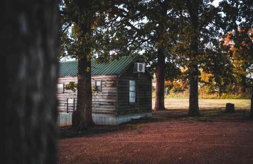 Mead House | Inviting Lakefront Cedar Cabin with Private Beach Access