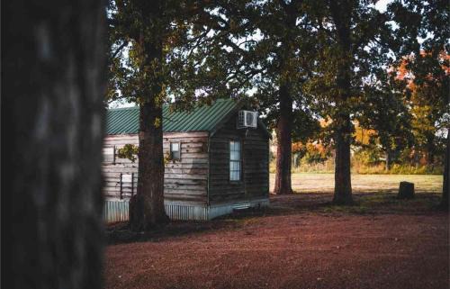 Mead House | Lakefront Cedar Cabin - Pet & Child Friendly Escape
