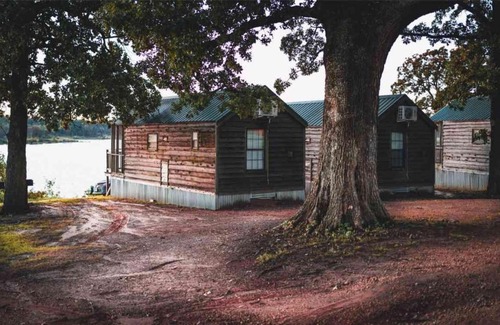 Mead House | Lakefront Cedar Cabin - Pet-Friendly Retreat with Top Ratings