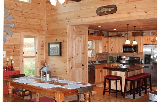 Valdese Cabin | Lakefront Log Cabin with Private Dock, Kayaks & Pool Access