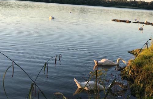 Bantry Apartment | Family-Friendly Lakeside Lookout in Beautiful Bantry