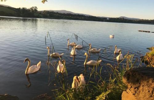 Bantry Apartment | Family-Friendly Lakeside Lookout in Beautiful Bantry