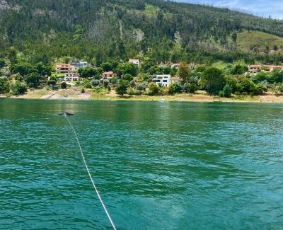 Ferreira do Zezere House | Relax at Lakeside Rest: Family-Friendly & Guest Rated 9.5