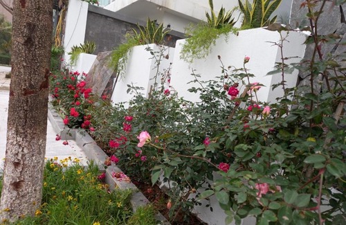 Sam Son Apartment | Relaxing Retreat at Lakeside Villa FLC Sầm Sơn