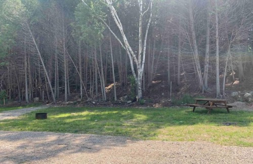 South Bruce Peninsula House | Cozy Lakeview Campsite with Pet-Friendly Amenities
