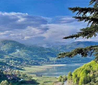 Mavrovo Hotel | Lakeview Hotel & Apartments: Pet-Friendly Retreat with Spa