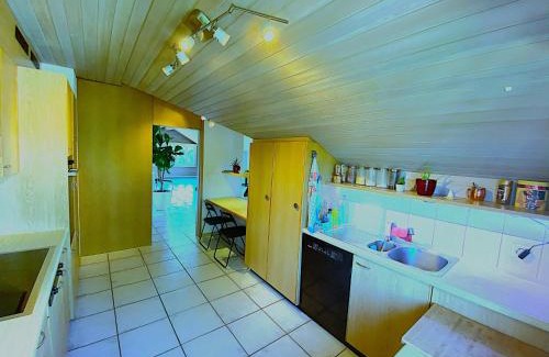 Sempach Apartment | Exceptional LakeVIEW Penthouse in Switzerland's Heart