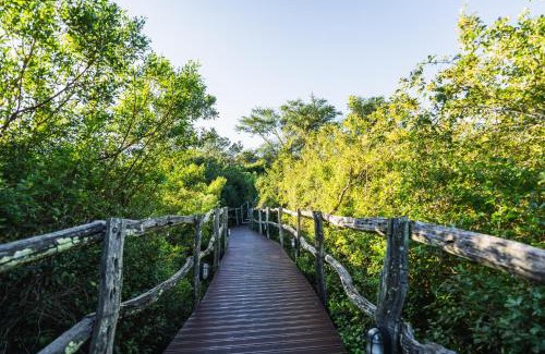 Grahamstown Cabin | Top-Rated Getaway at Lalibela Game Reserve Mark's Camp