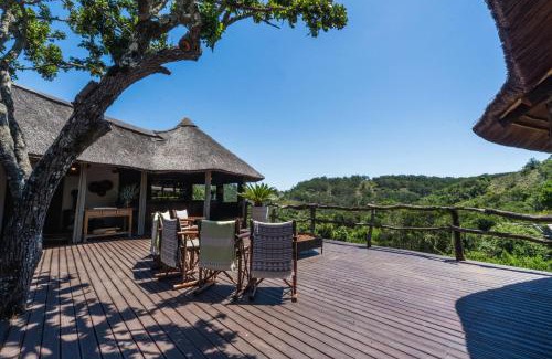 Grahamstown Cabin | Experience Adventure at Lalibela Game Reserve Tree Tops Lodge