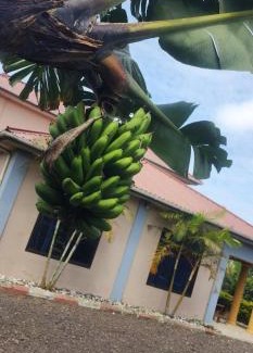 Arusha House | Lambatini Homestays & Lodges