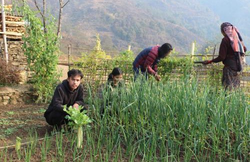 Gandaki Zone House | Discover Lamjung Besishar Dudhpokhari Community Homestay