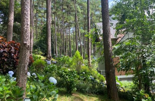 Da Lat Villa | Discover Làng Biệt Thự Lan Anh in Beautiful Đà Lạt