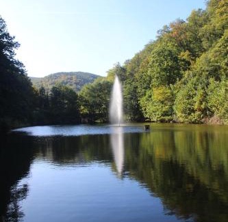 Wachenheim an der Weinstrasse House | Pet-Friendly Landhaus Ideal: Rated 9.7 by Guests