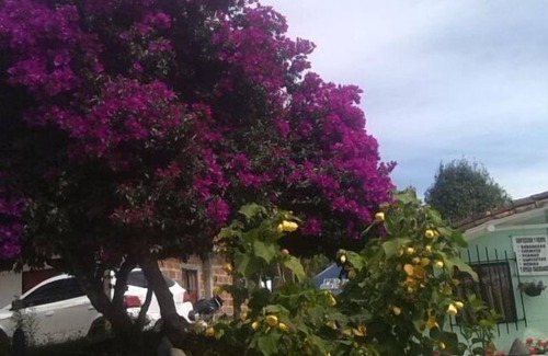 Santa Elena Cabin | Discover Land of Flowers in Santa Elena's Nature Oasis