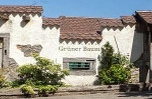Simonswald Hotel | Cozy Landgasthaus Grüner Baum: Pool, Dining & Family Fun