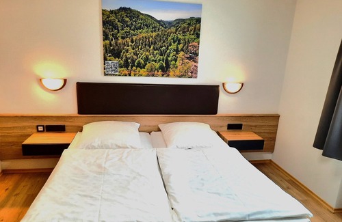 Regnitzlosau Hotel | Unforgettable Stay at Landgasthof Grüner Baum - 10/10 Rated