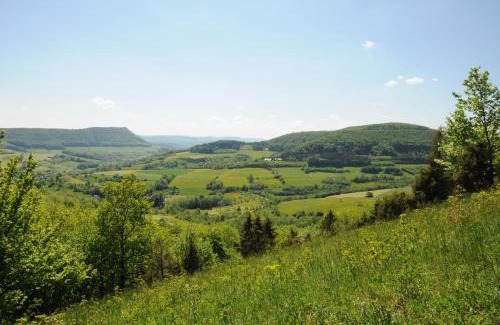 Weissenstein Hotel | Family-Friendly Retreat at Landgasthof Heldenberg