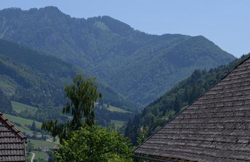 Grossraming Hotel | Discover Landgasthof Kirchenwirt: Pet-Friendly Escape