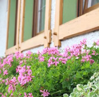 Orsingen-Nenzingen Hotel | Cozy Landgasthof Ritter: Family-Friendly Retreat Awaits