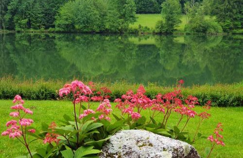 Schiefling am See House | Experience Landgasthof Trattnig with Oceanfront Relaxation