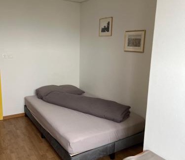 Egnach Hotel | Cozy Landgasthof Winzelnberg: Accessible Stay with Breakfast