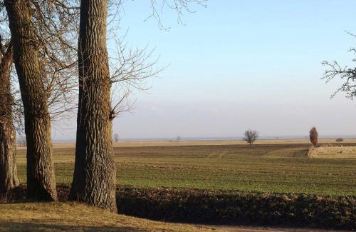 Stolpe auf Usedom House | Pet-Friendly Landhaus am Haff: Rated 9.7/10 by Guests