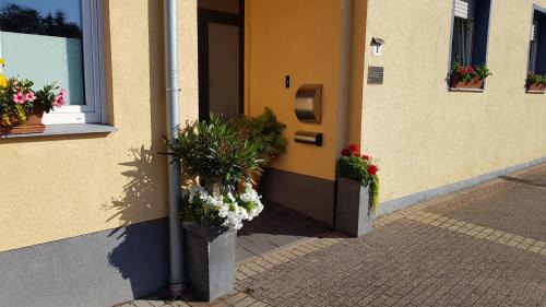 Effeld Hotel | Pet-Friendly Getaway at Landhaus Effeld - 4-Star Comfort
