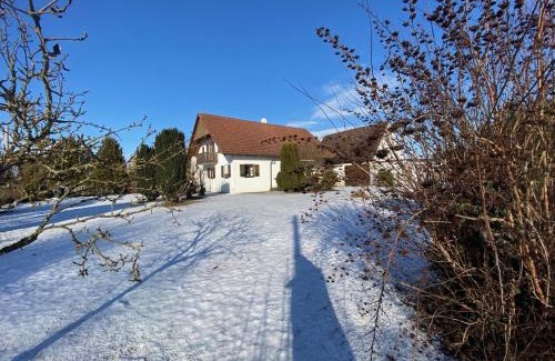 Pforring House | Pet-Friendly Retreat at Landhaus in Pförring - 8.6/10 Rated
