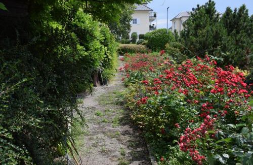 Kressbronn Apartment | Oceanfront Escape at Landhaus Ottenberg - Family Friendly