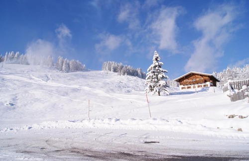 Maschl Apartment | Family-Friendly Landhaus & Welser Hütte at Wolfgangsee