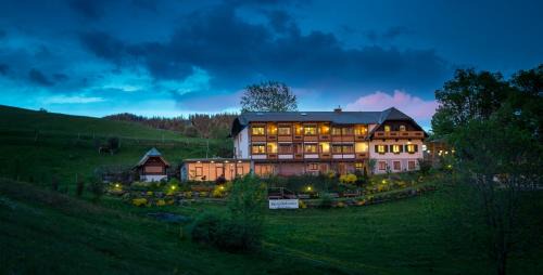 Sankt Kathrein am Offenegg House | Pet-Friendly Landhotel Spreitzhofer with Oceanfront Views