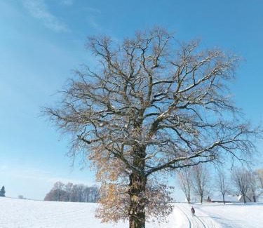Sohland Hotel | Experience Comfort at Landhotel Waldschlößchen