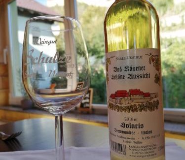 Großjena Hotel | Pet-Friendly Getaway at Landhotel Weingut Schulze