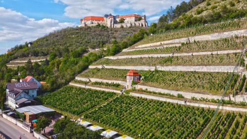 Großjena Hotel | Pet-Friendly Getaway at Landhotel Weingut Schulze
