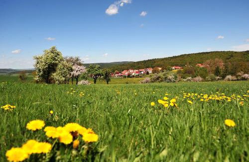 Bernshausen Hotel | Pet-Friendly Stay at Landhotel Zur Grünen Kutte with Ocean Views