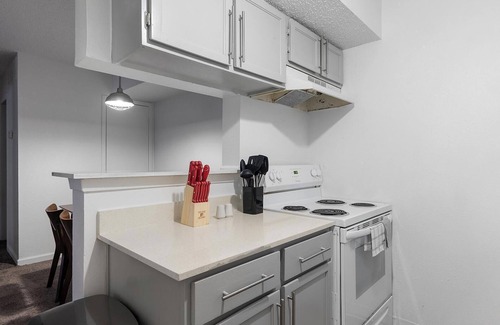 Windsor Park Apartment | Landing at Mueller Flats - 1 Bedroom in Windsor.