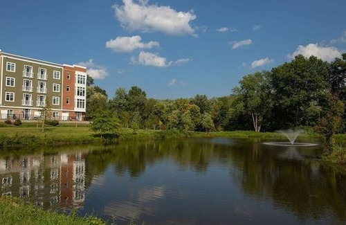 Windsor Apartment | Cozy Stay at Windsor Station - 1 Bedroom Downtown Retreat