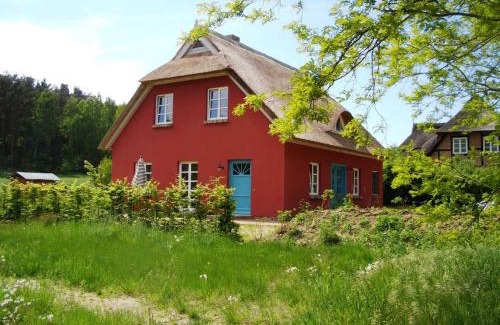Morgenitz House | Oceanfront Retreat at Landschek, Ferienhaus "Das Ulmenhaus"