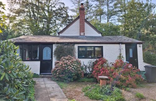 Honiton House | Experience Lane End Cottage: 4-Star Gem with Perfect Ratings