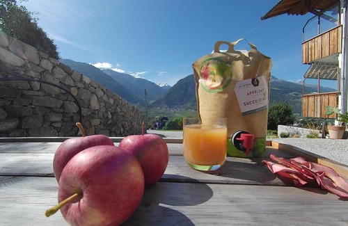 Laces House | Langstein Bio Urlaub: Guest Rated 10/10 with Great Amenities