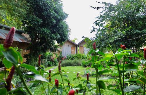 San Kamphaeng Bed & Breakfast | Discover Lanna House: Poolside Retreat in Chiang Mai