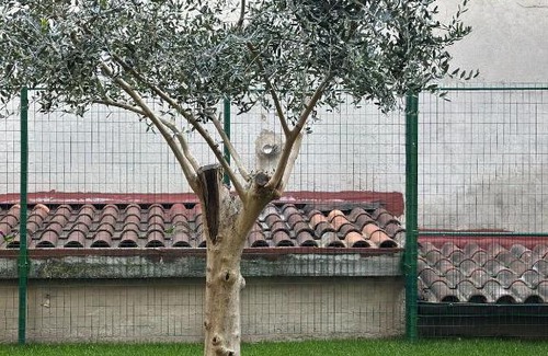Acquasparta Apartment | Lanternone nel Borgo - Appartamento di Charme con Giardino