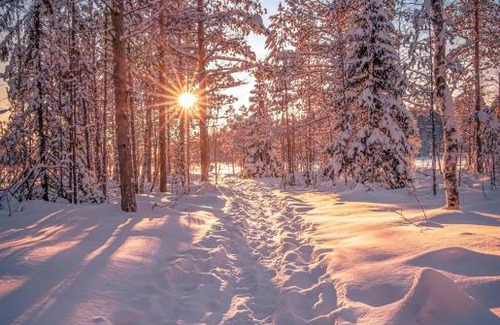 Simo Resort | Lapinkoski Salmon Lodges: Pet-Friendly Retreat by Simojoki