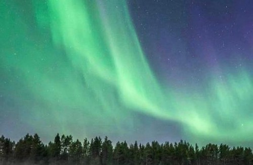 Simo Resort | Lapinkoski Salmon Lodges: Pet-Friendly Retreat by Simojoki