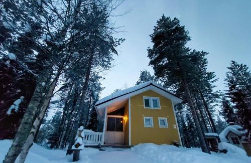 Vikajarvi Apartment | Experience Lapland Forest Lodge: 10/10 Stay with Hot Tub