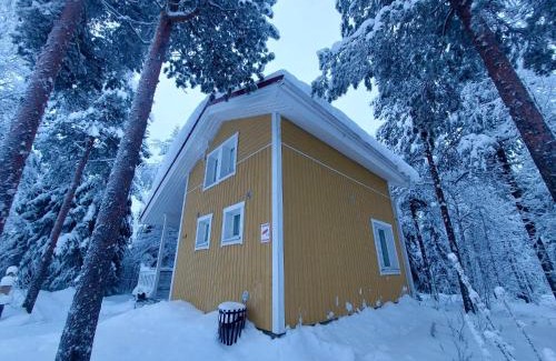 Vikajarvi Apartment | Experience Lapland Forest Lodge: 10/10 Stay with Hot Tub