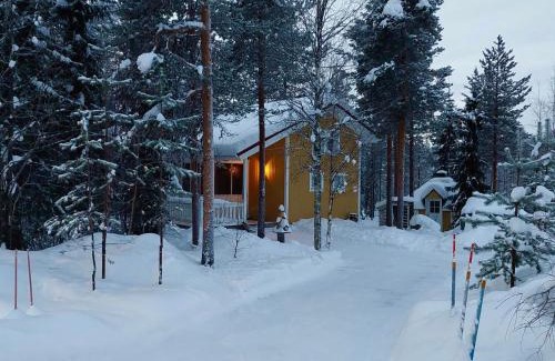 Vikajarvi Apartment | Experience Lapland Forest Lodge: 10/10 Stay with Hot Tub